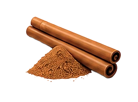 Illustration of cinnamon sticks and ground cinnamon