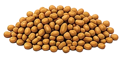 Illustration of golden fenugreek seeds