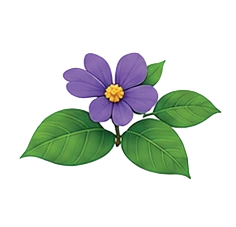 Illustration of banaba plant leaves and purple flower